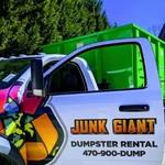 Junk Giant Dumpster Rental image 1